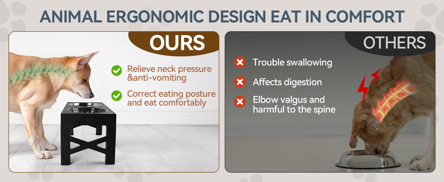 Підвищений годівниця для собак PAWISE, 5 рівнів регулювання, для собак маленьких, середніх та великих порід, з двома великими мисками з нержавіючої сталі, антиковзаюча, BPA free пластик