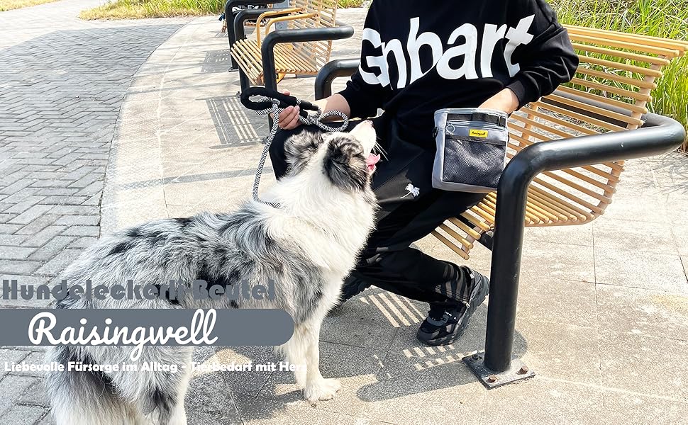 Сумка для ласощів для собак, багатофункціональна сумка для прогулянок з силіконовим кишеньком, мішок для корму для дресирування собак та дозатор ласощів, ідеальна для активного відпочинку на вулиці (Чорний 4 чашки) (6. Сірий 4 чашки)