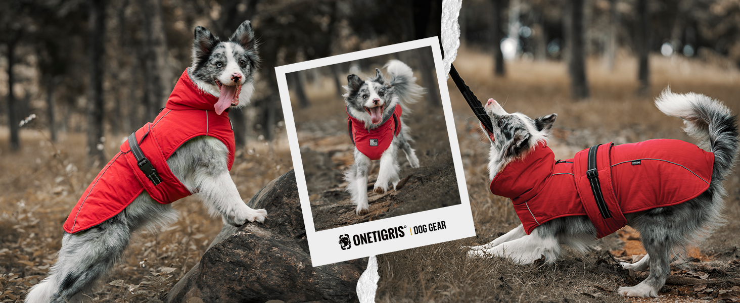 OneTigris STORMWALL Водонепроникний дощовик для собак з регульованою довжиною спини, флісовою підкладкою, світловідбиваючими елементами та коміром з хутра для прогулянок на природі, середніх та великих собак, L (XL:39-64кг, червоний)