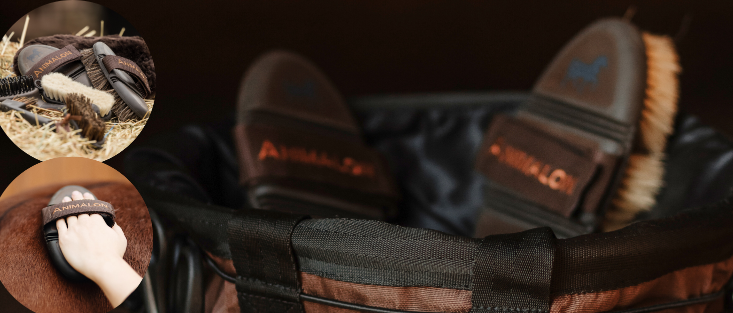 Штрикер Animalon Kurzhaar для собак: допомога при линянні, штрикер для короткошерстих собак, інноваційна щітка для дбайливого догляду за шерстю (маленький, блакитний)