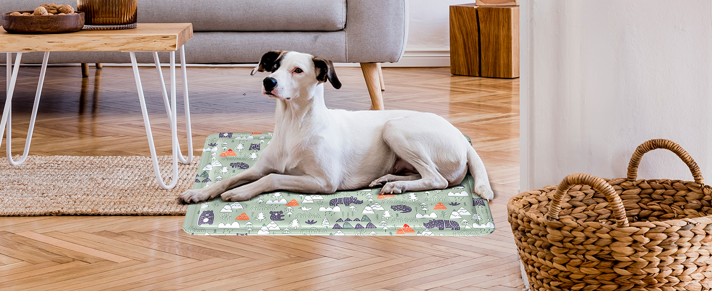 Кühlmatte Hunde: Охолоджуючий килимок для собак та котів 50x65 см. Самоохолоджуючий, водовідштовхуючий, з нетоксичним гелем. Для дому та вулиці.