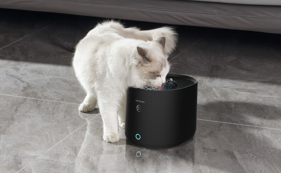 Автоматичний годівниця для тварин Cecotec Pumba 1600 Purrfect Meal: 1,6 л, 4 відділення, LED, таймер, запис голосу + фонтанчик 2,5 л