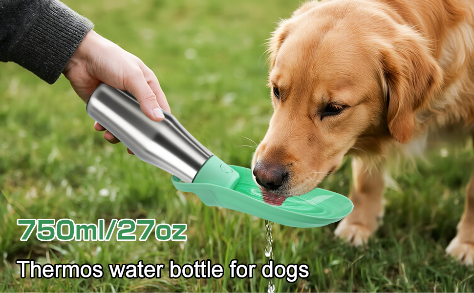 Водяна пляшка для собак на прогулянці - не протікає, з нержавіючої сталі, 750 мл