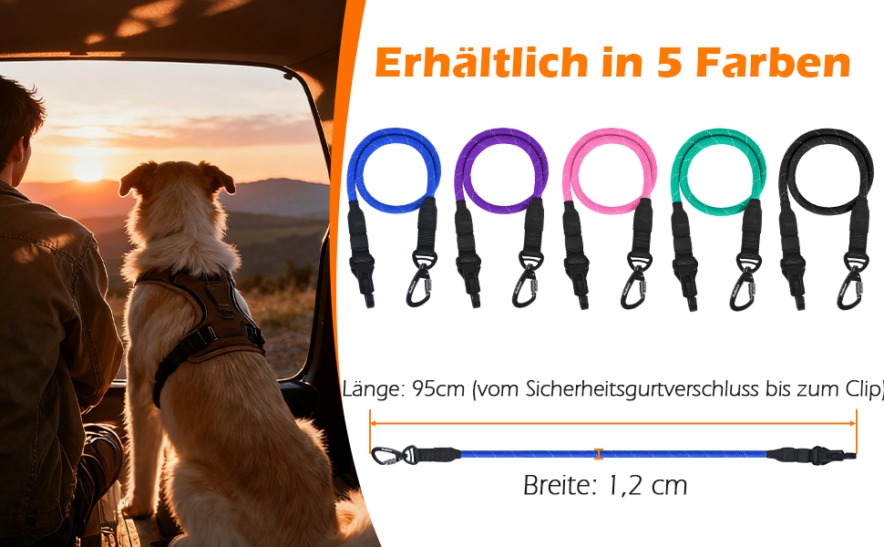 Ремінь безпеки для собак PetBonus в авто: міцний поводок-переноска для маленьких, середніх та великих собак (чорний)