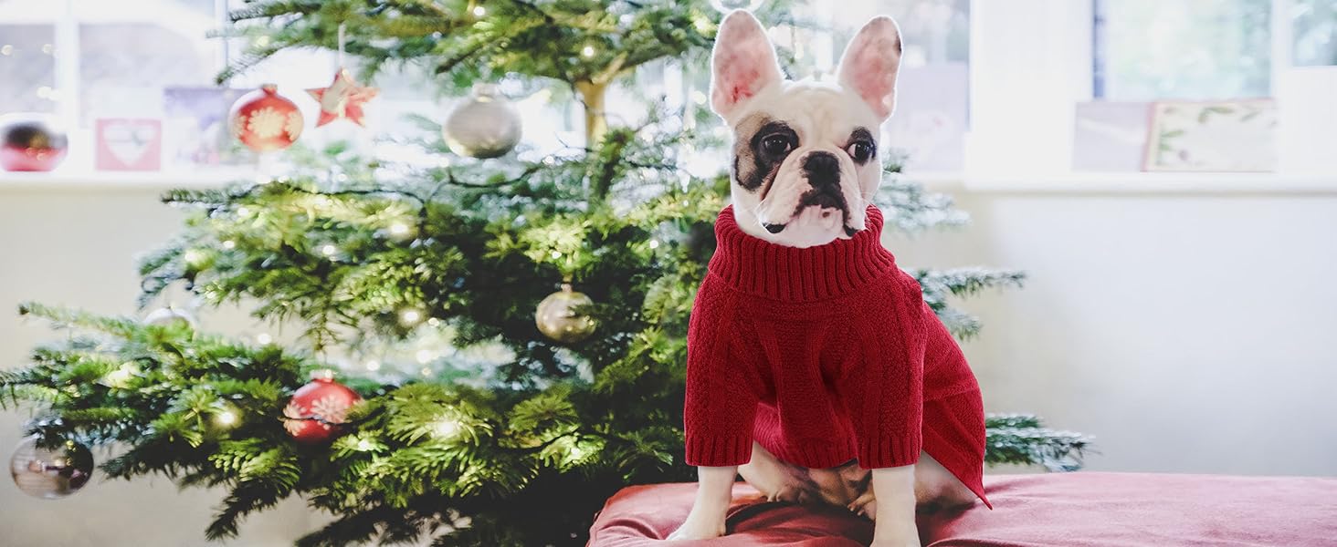 Теплий і м'який пуловер для собак Queenmore з в'язаним візерунком для Йоркширських терьєрів, пуделів та померанських спайнілів (червоний, S)