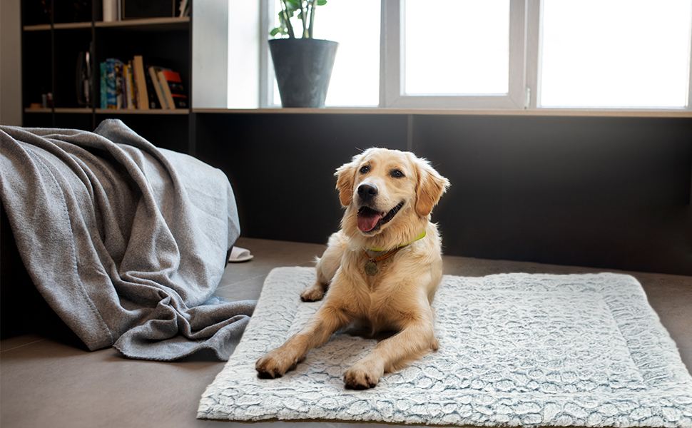 Лежанка для собак середніх порід 75x50 см, м'яка, з коротким ворсом, антиковзаюча, в стилі мармуру, хакі