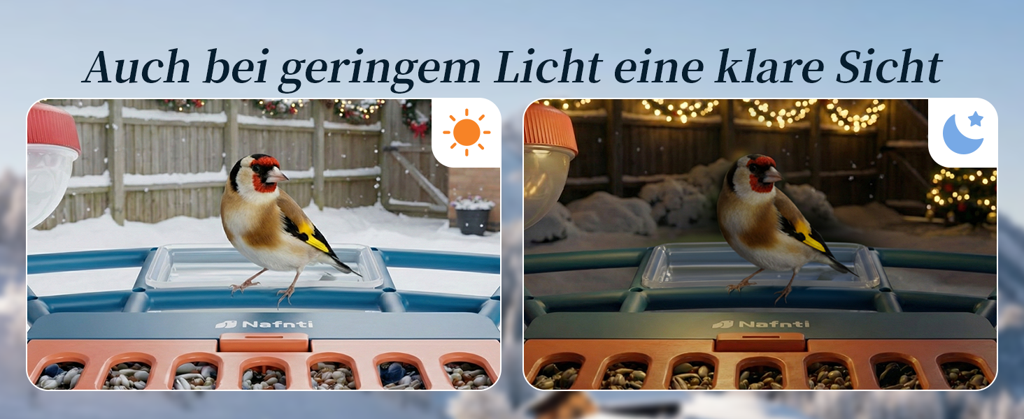 Кормушка для птахів з камерою, AI розпізнавання птахів, 2.4 ГГц/5 ГГц, сонячна, захищена від білок, миттєві сповіщення, 2K камера для заднього двору