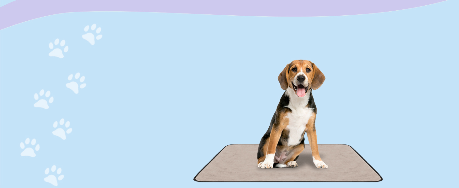 М'яка підстилка для собак Normani - підстилка для тварин з безпечного матеріалу, 40x50 см, 60x80 см, 70x100 см, бежева