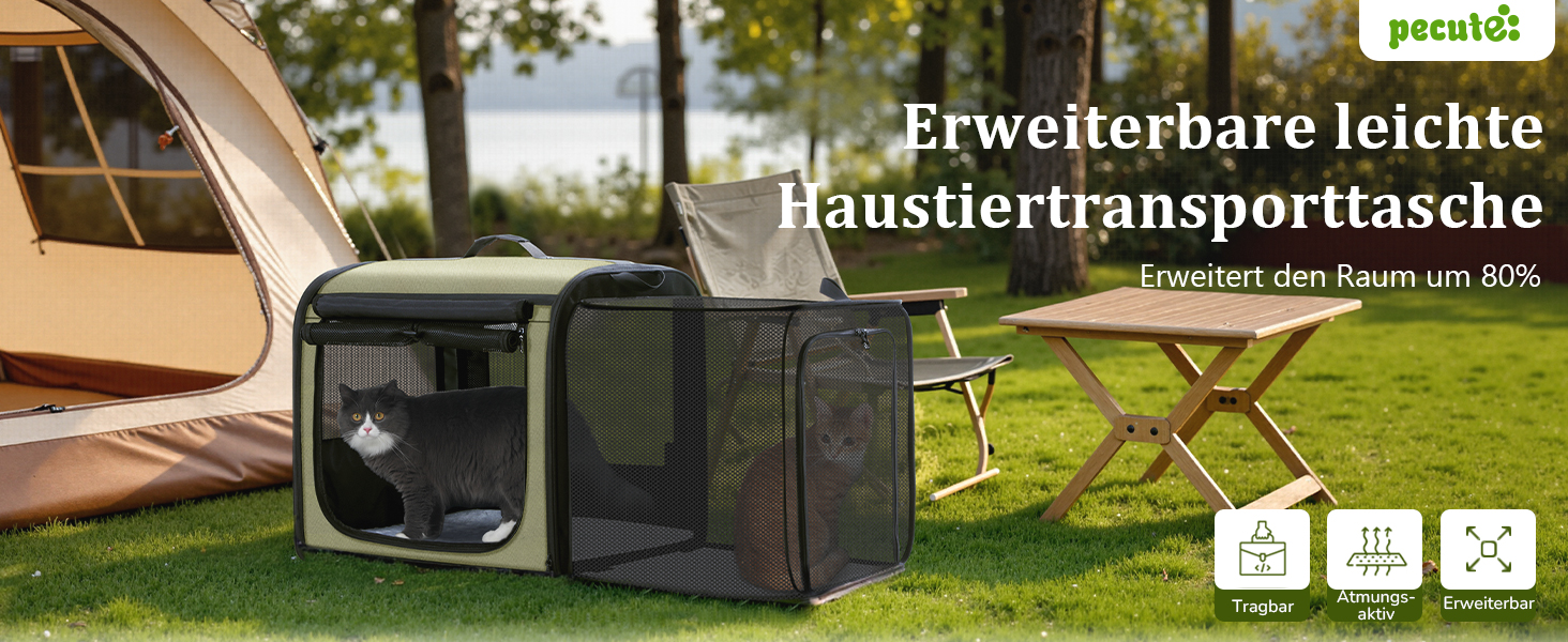 Pecute Розширювана переноска для котів та маленьких собак, переноска-трансформер, 61 x 52 x 45 см, для подорожей, темно-сірий, темно-зелений