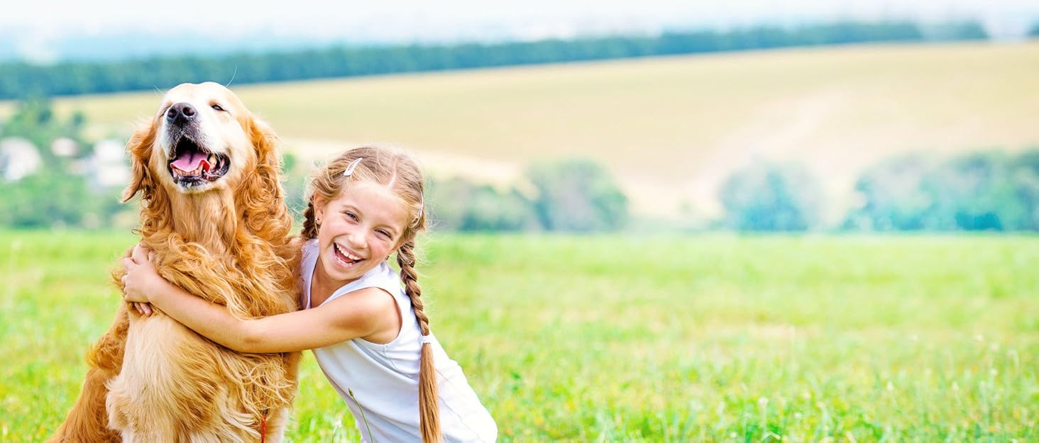 Килимок для собак Petcute великих та середніх порід, м'який, знімний, дихаючий, з неслизьким дном, зелений