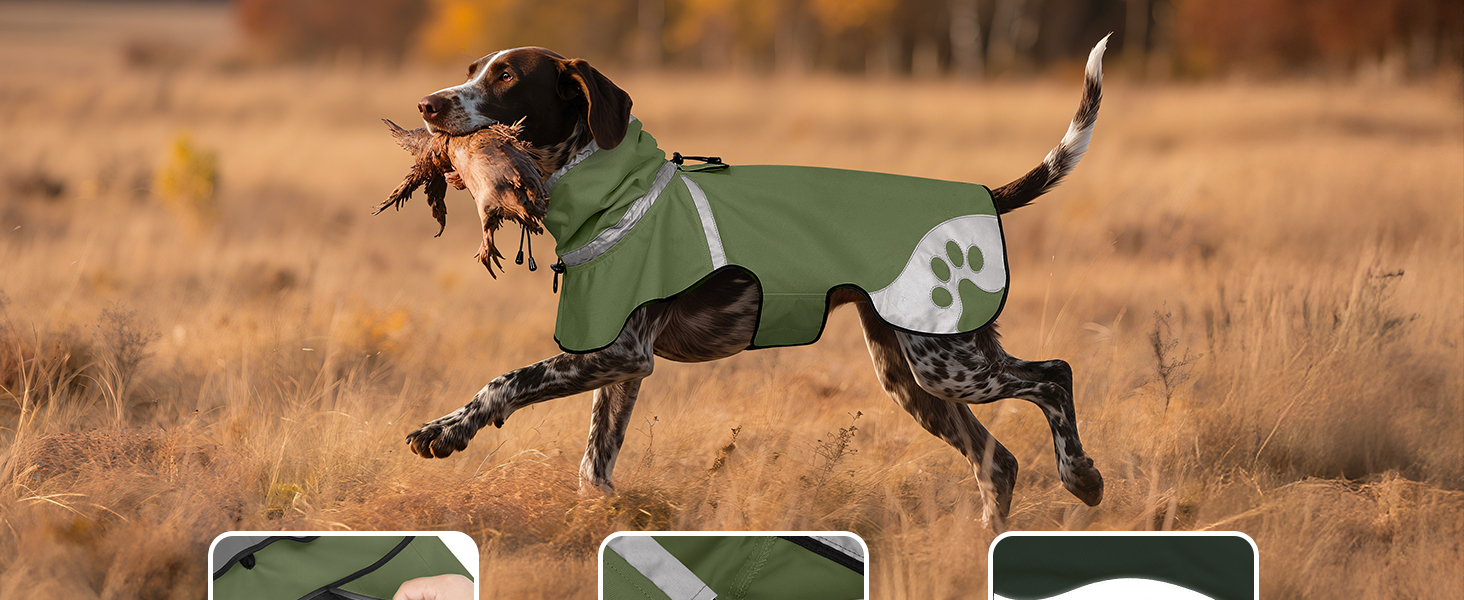 Водонепроникний дощовик для собак, дощова куртка з відбивачем, XL, армійсько-зелений
