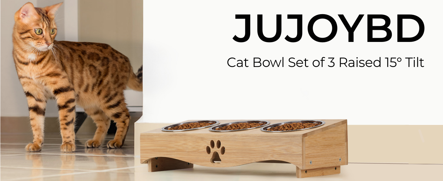 Набір мисок для котів JUJOYBD 3 шт. - підняті миски з нержавіючої сталі, кут нахилу 15°, ергономічна станція для годування котів та маленьких собак