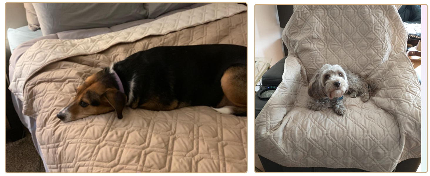 Водонепроникний килимок для собак GYURO - двосторонній, м'який, 97 x 190 см (Хакі) - для великих і маленьких собак, захист дивану, ліжка, авто, придатний для прання