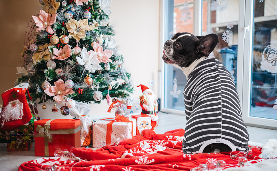 Комбінезон для собак після операції Axcimond, сірий, L, захисний одяг для відновлення, хірургічний костюм для тварин