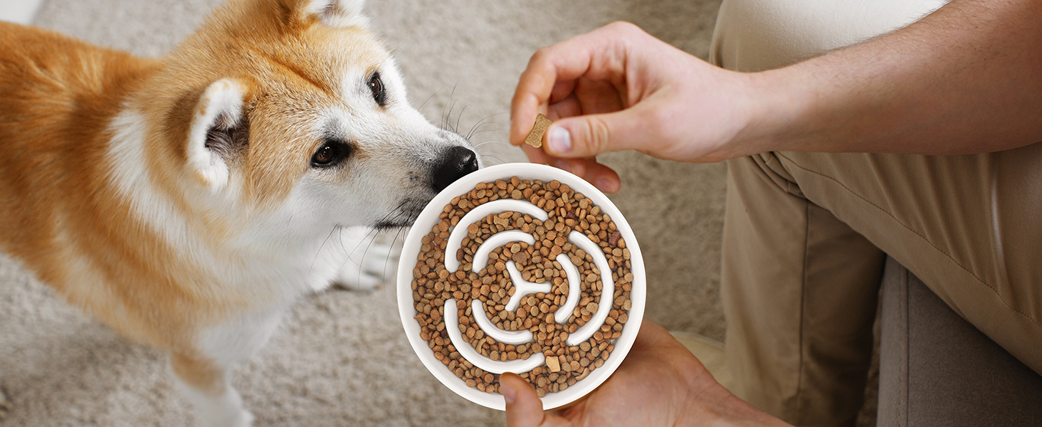 Антислизька годівниця для собак, Slow Feeder, кераміка, Ø 20.5 см, для середніх та великих собак, миюча, безпечна для їжі (біла)