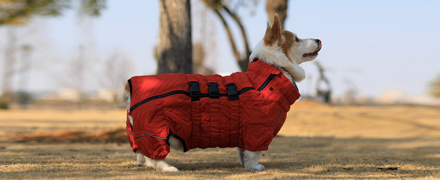 Теплий зимовий одяг для собак: двошагова жилетка, непромокаєма, вітронепроникна, з відбиваючими елементами. Підходить для малих, середніх та великих собак. Сірий XXL 2XL (back 19')