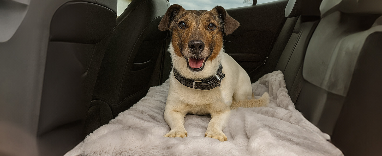 М'яка водонепроникна ковдра для собак, антиковзаюча та пральна - тепла ковдра для маленьких та середніх собак для дивану, авто та лежанки. Small