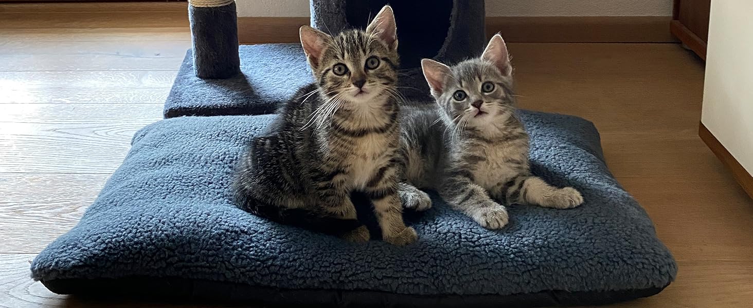 М'яке ліжко для собак та котів Zollner, сіре - 58x36 см, миється до 30°C, антиковзаючі підкладки