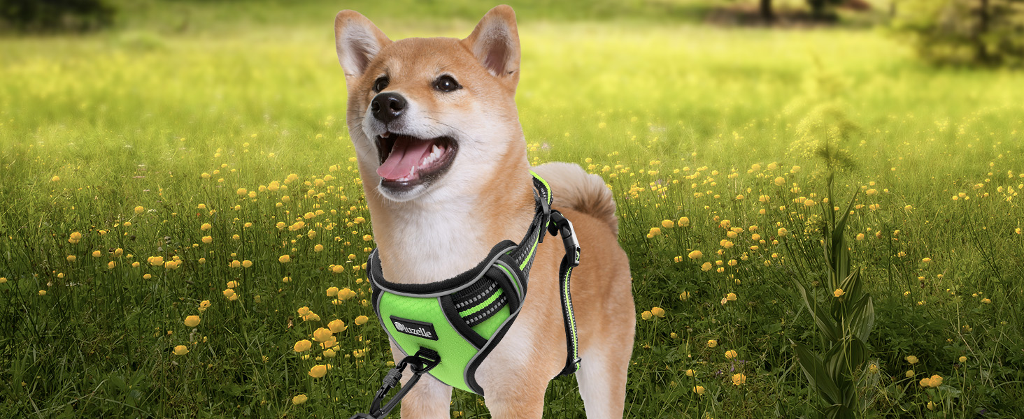 Шлейка для собак середніх порід Bluzelle, світловідбиваюча з ручкою та кишенею для GPS-трекера, анти-тяга, дихаюча, розмір M, зелена