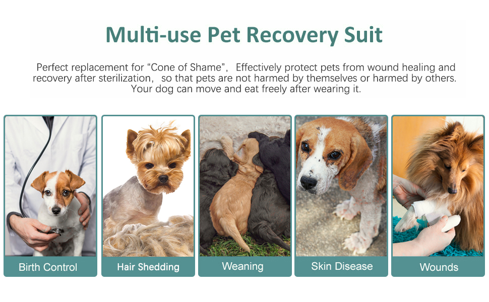Піжама для собак після операції Kuoser, одяг для собак після кастрації, комбінезон для собак після операції, одяг для собак після операції, піжама для собак, котів, маленьких та середніх собак, фіолетовий, XS