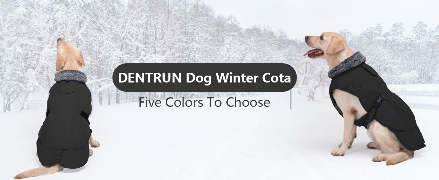 Водонепроникний теплий зимовий одяг для собак DENTRUN, флісова підкладка, куртка для собак середнього розміру (Синій, M)