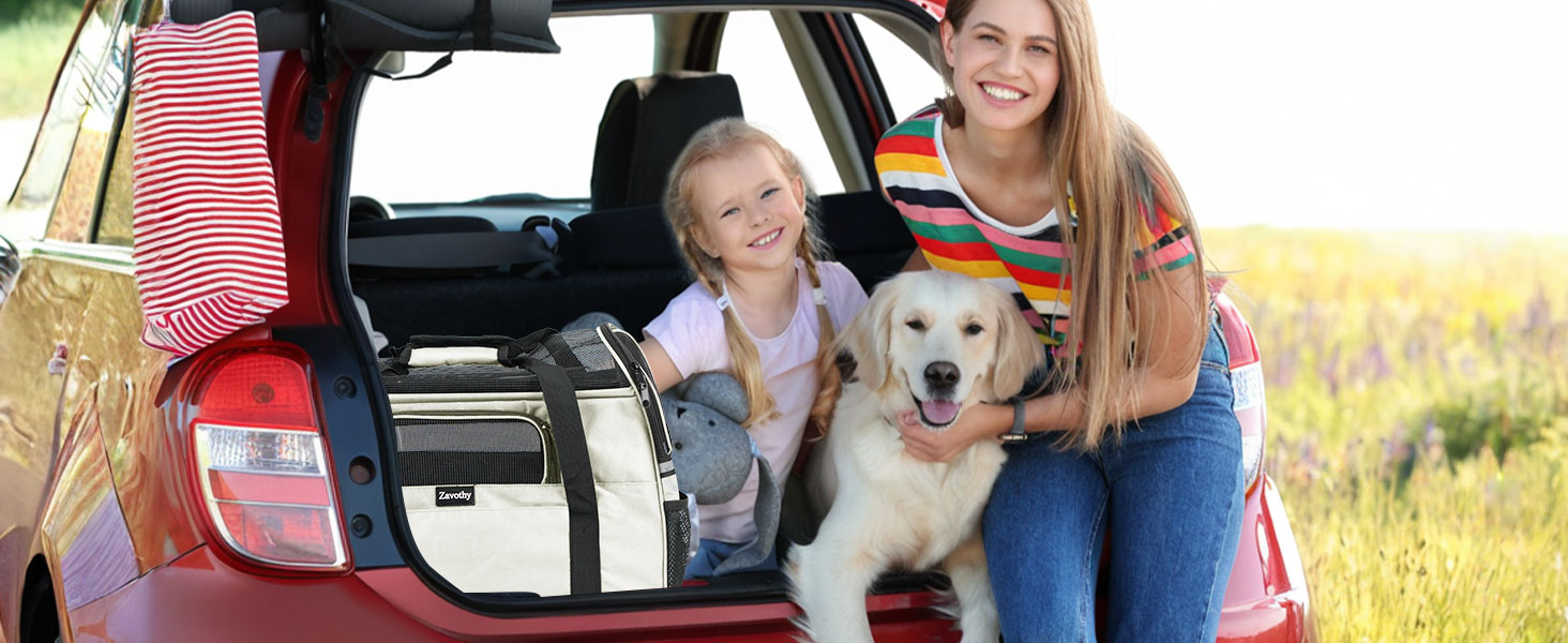 Транспортна сумка для котів та собак, дихаюча та складна, з регульованим плечовим ременем, знімний плюшевий матрац (Бежева, M)