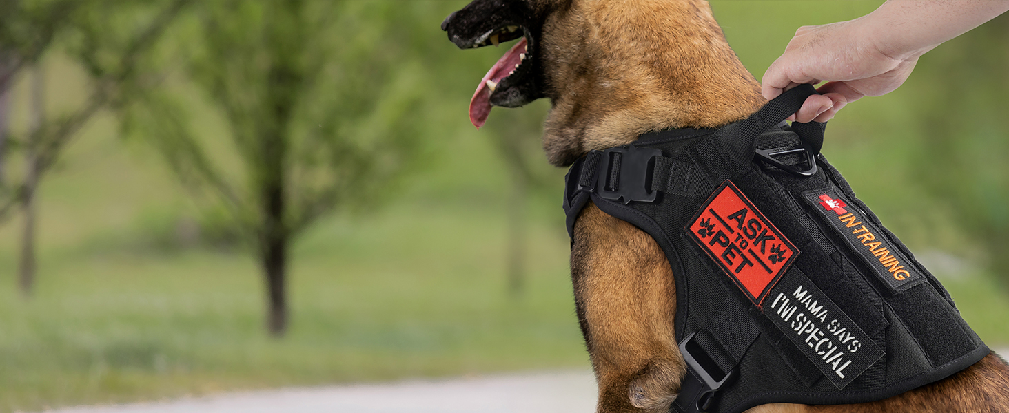 Шлейка для собак Rabbitgoo великих порід, без натягу, тактична з MOLLE, металеві пряжки, дихаюча, військова, чорна, L