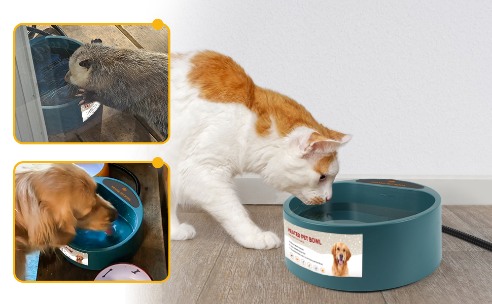 Автоматичний годівниця-поїлка з підігрівом для тварин 2L: інтелектуальна температура та контроль рівня води