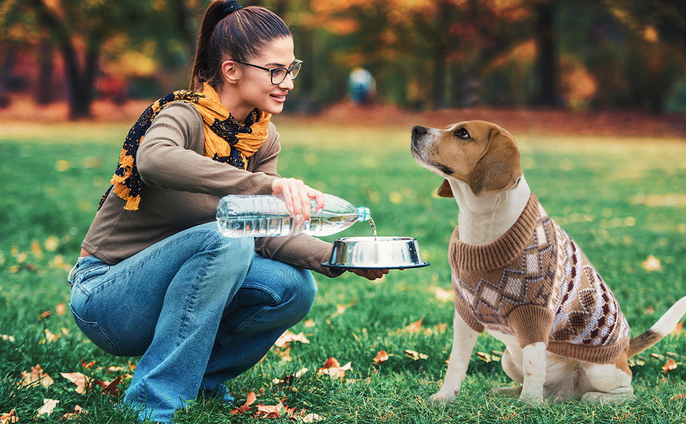 Теплий пуловер для собак на Новий рік, пухкий пуловер для маленьких та середніх собак, для Чихуахуа, Французького бульдога (Бежевий, M)