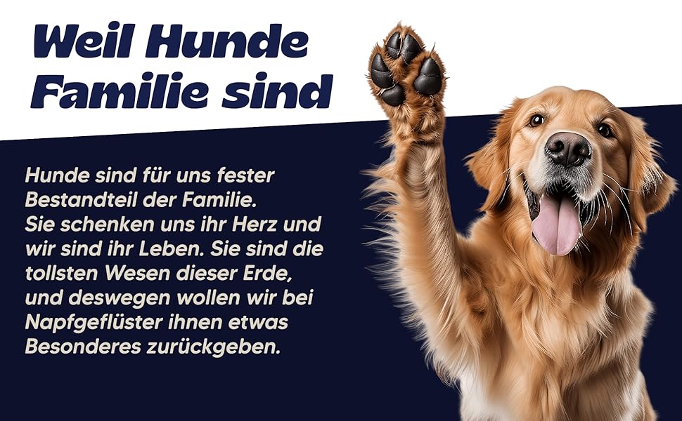 Килимок охолоджуючий для собак NALA, розмір S (65x50x1 см)