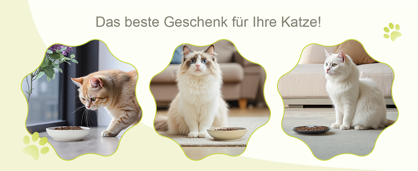 Набори мисок для котів SPUNKYJUNKY 3 шт. з кераміки. Миски для корму котів (білий, чорний, світло-коричневий, глибокі)