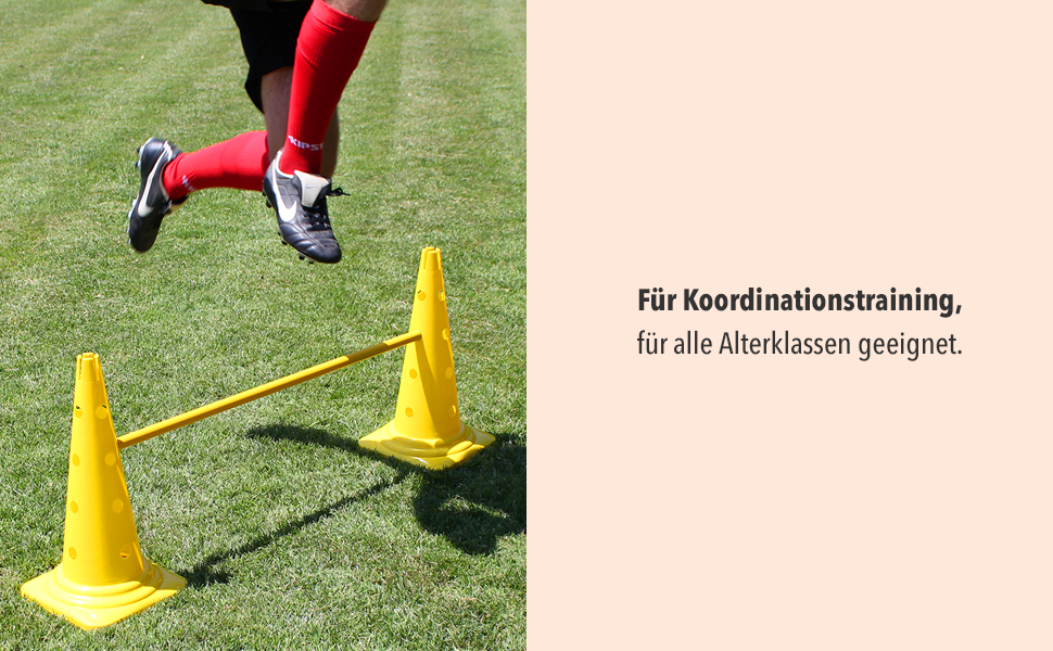 Набір для аджиліті SPORTIKEL24: 4 перешкоди для собак, коней та дітей (50 см, 100 см)