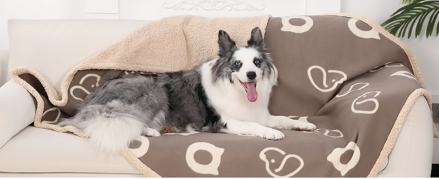 PETTOM Водонепроникний килимок для собак, 127 x 100 см, Sherpa Fleece, для середніх та великих собак, котів, м'який, з подвійним шаром, сірий