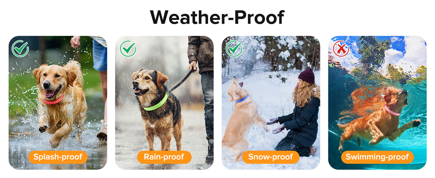 Світлодіодний нашийник для собак Leuchthalsband PcEoTllar, зарядний, 3 режими світіння, водонепроникний, регульований, для малих, середніх та великих собак, блакитний (TC5000), L (48-60 см)