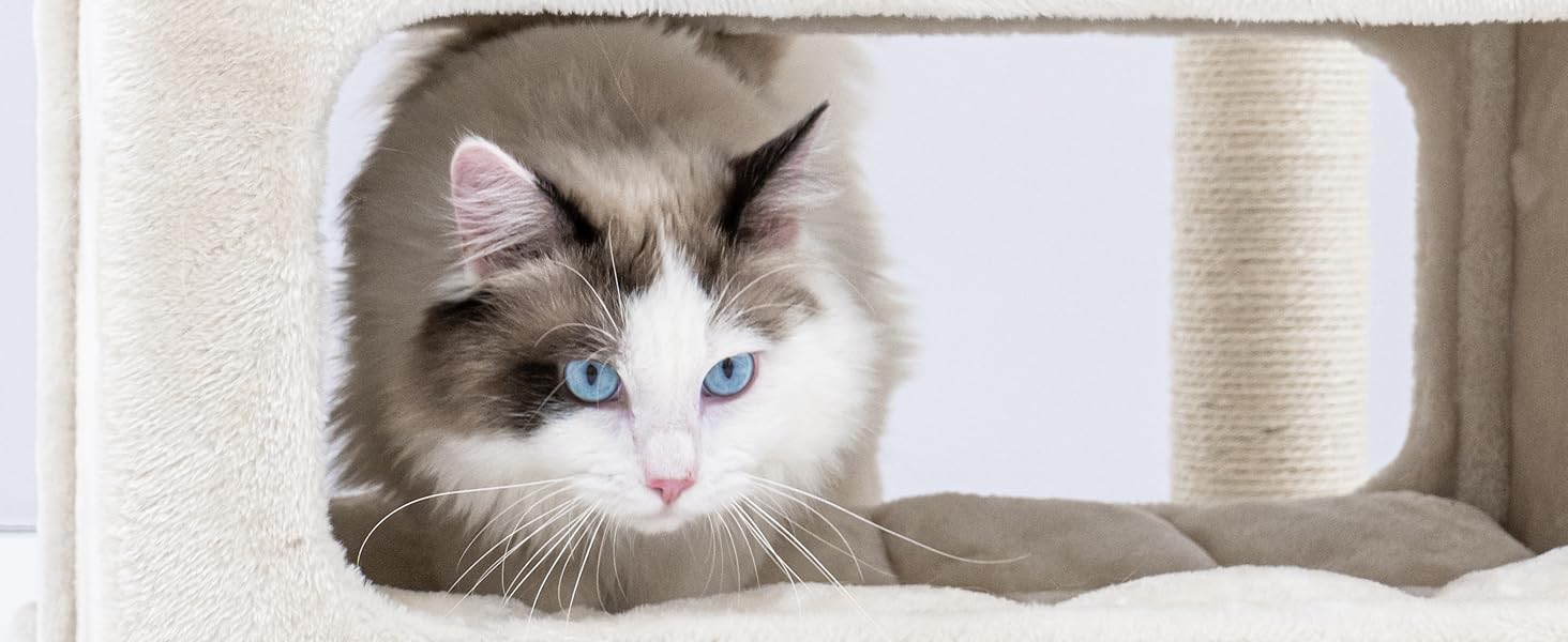 Дряпка для котів Petrebels Lodge 107 см, стійка, з XXL лежаком, для літніх котів, бежевий/кремовий колір