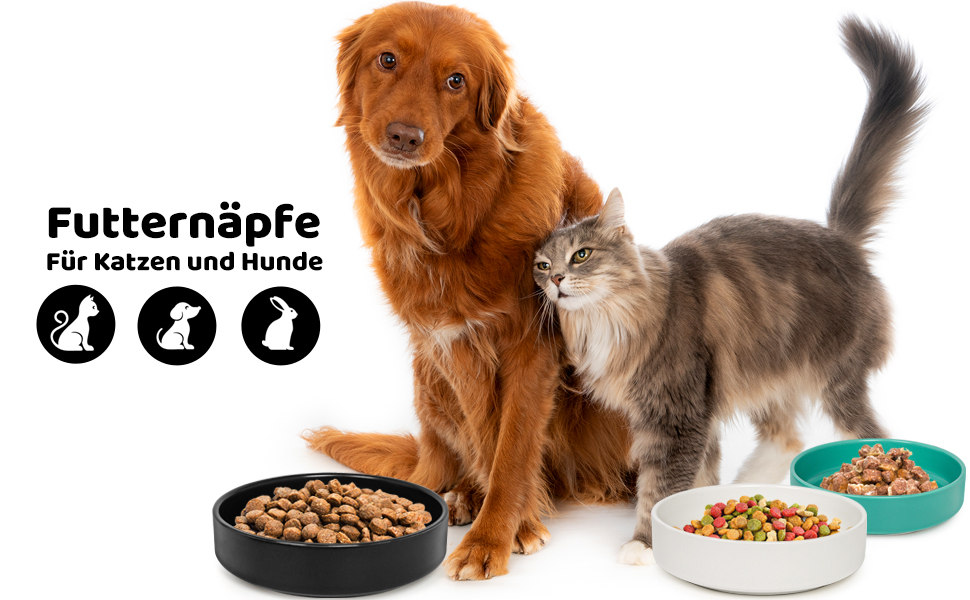 Котлові миски з кераміки для котів та кошенят: набір мисок для корму, годівниці для тварин