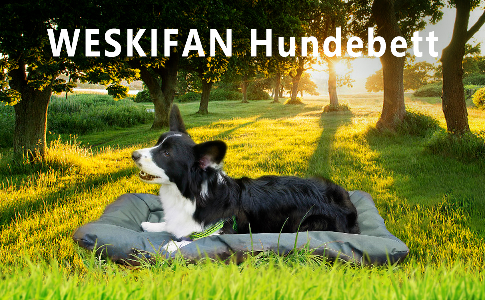 Лежанка для собак та котів WESKIFAN: водонепроникна, знімний чохол, 58 x 86 см, сіра