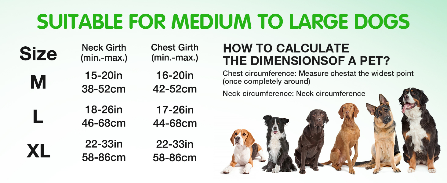 Світловідбиваючий нашийник для собак з LED, перезаряджуваний, м'який, водонепроникний, 3 режими, зелений, розмір M