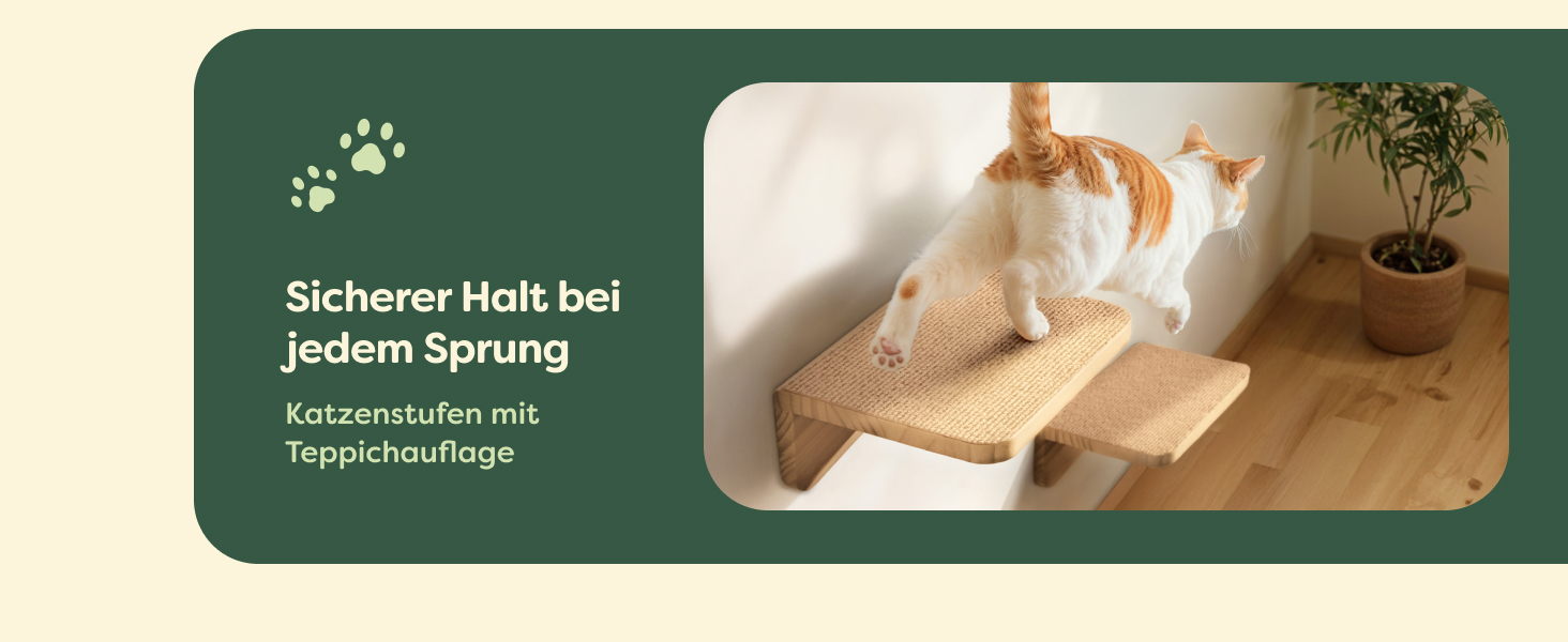 Комплект для котячого комплексу Knupis: Кліматична стіна з ліжком та 2 сходинками – Масивна деревина FSC® з сосни, стійка платформа до 30 кг – Для ігор та відпочинку - Бежевий