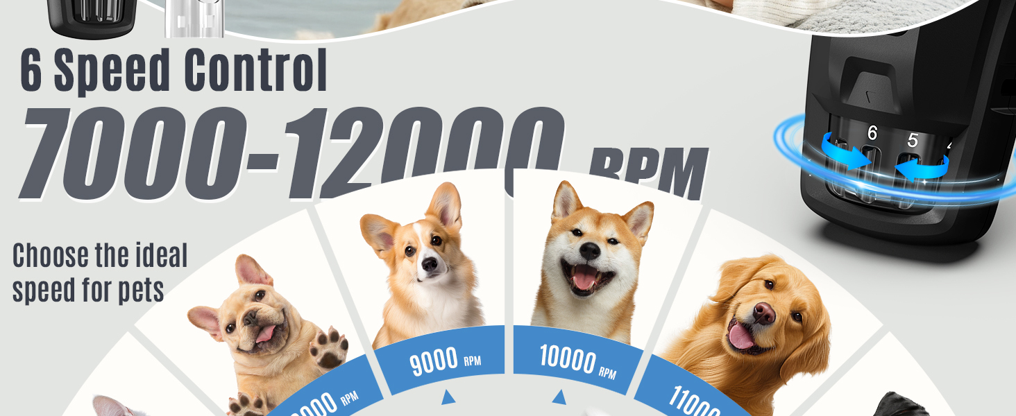 Електричний шліфувальник кігтів для собак та котів Casfuy Neue - тиха робота, 7 годин роботи, 2 LED, для собак великих, середніх та малих порід, чорний