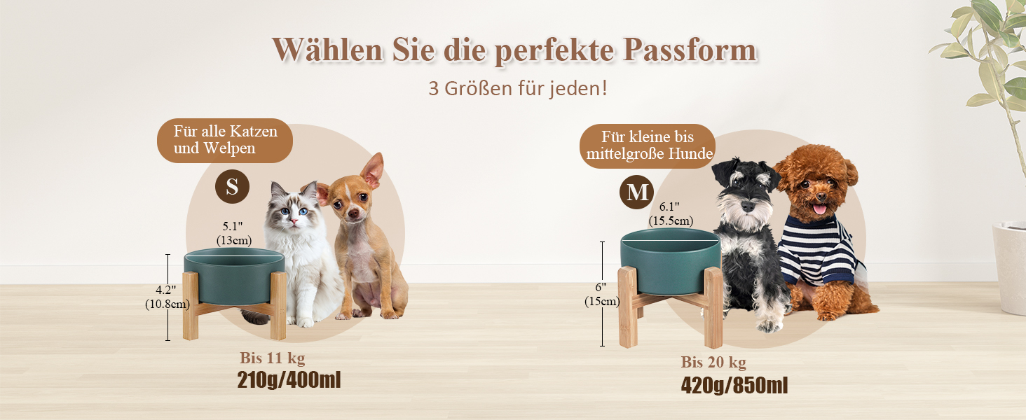 Миска для кота, миска для корму кота, миска для кота з підставкою, піднята миска для котів, миска для собак, керамічна миска для котів та собак, 400 мл, зелена