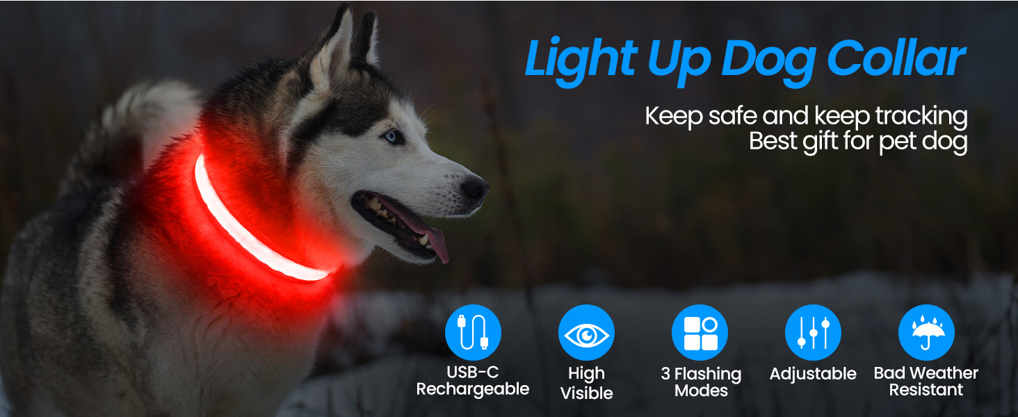 Світловідбиваючий нашийник для собак ASBRILL з LED-підсвічуванням, USB-C, водонепроникний, регульований, 3 режими світла, для собак малого, середнього та великого розміру (L, ЧЕРВОНИЙ)