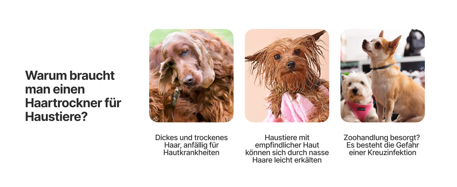 Neakasa F1 - портативний фен для собак, сушарка для тварин, тиха, з регулюванням швидкості та 3 насадками (білий)