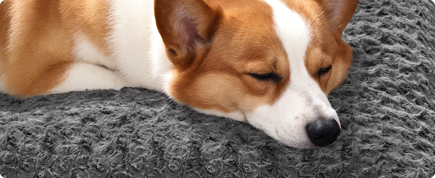 Ліжко для собак Feandrea XL, плюшеве, 110 x 73 см, для великих собак, м'яке, миється, нековзне, сірий PGW293GN01 (L 95 x 60 x 10 см)