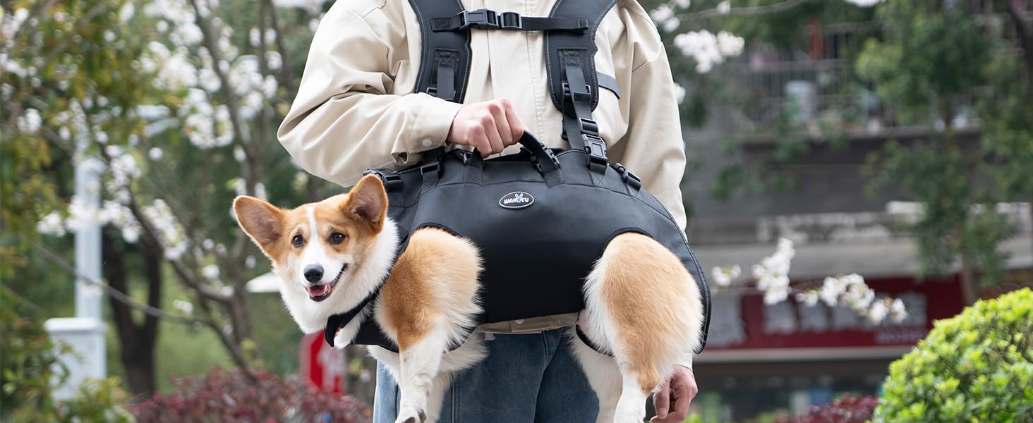 Сумка-переноска та повідок для собак, Wakytu, для маленьких собак (4-8 кг), чорний, регульовані ремені