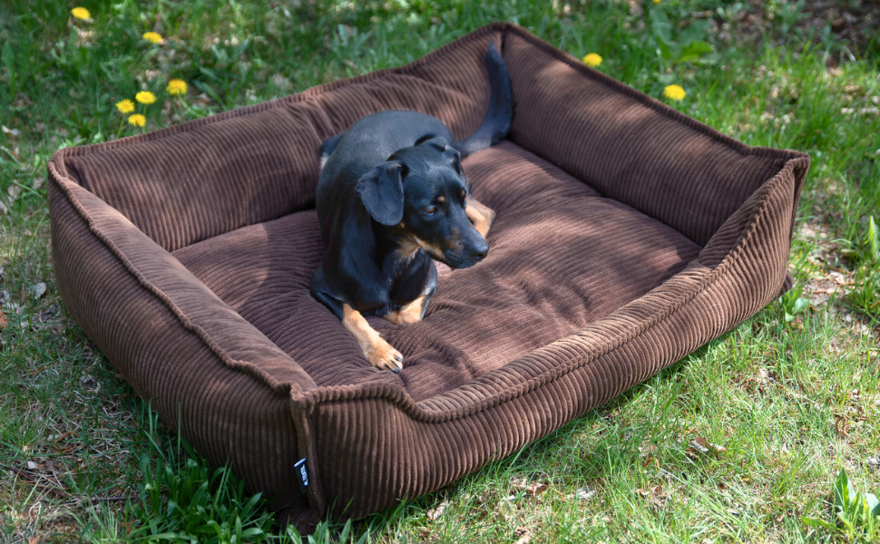 4L Textil М'яке собаче ліжко з корду Hugo Premium-LINE, ортопедичне для маленьких собак, з memory foam, бежеве, 60x40 см