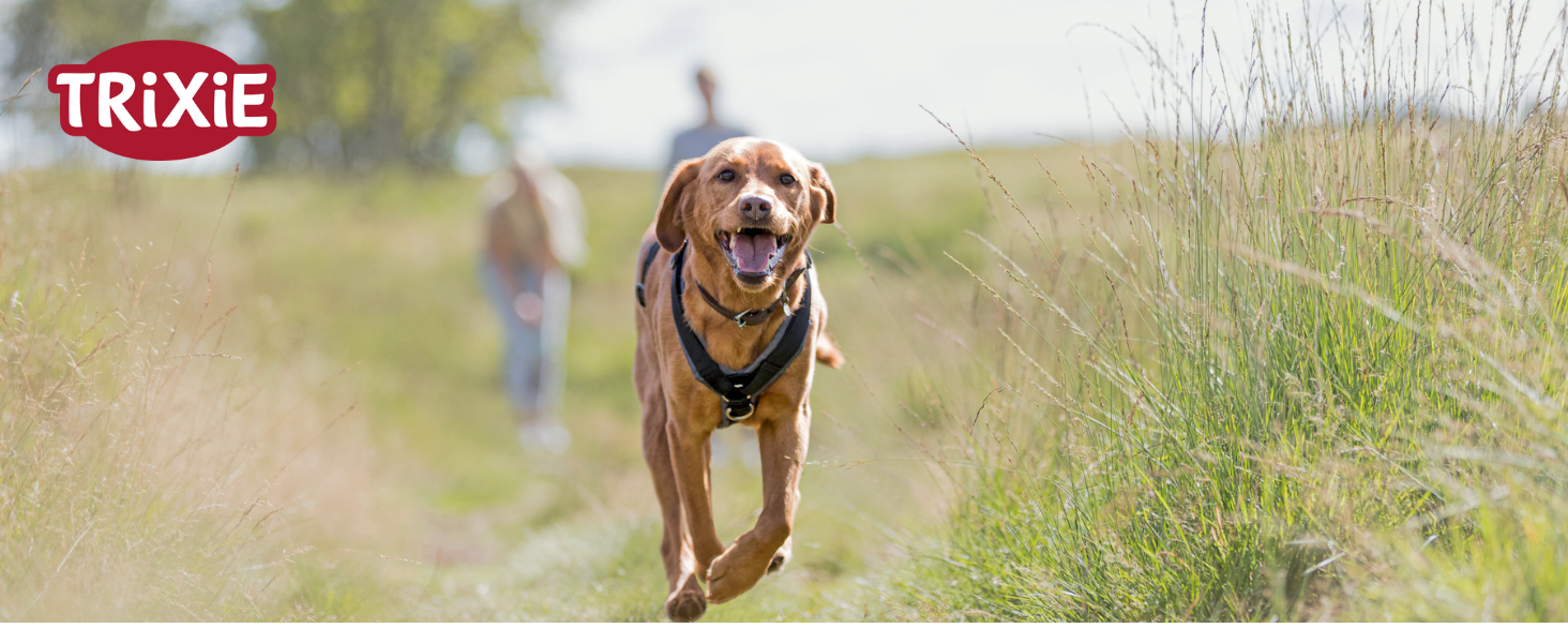 Причіп для собак Trixie на велосипеді, 16.1 x 21.3 x 24.4 дюймів, до 25 кг – підвісна конструкція, великі двері
