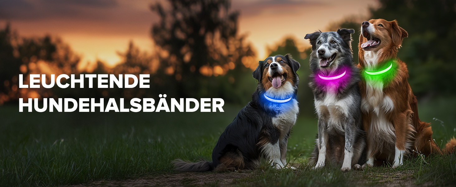 LED нашийник для собак з підсвічуванням, вологостійкий, 7 кольорів, регульований, чорний, 8 режимів, розмір M (38-50 см)