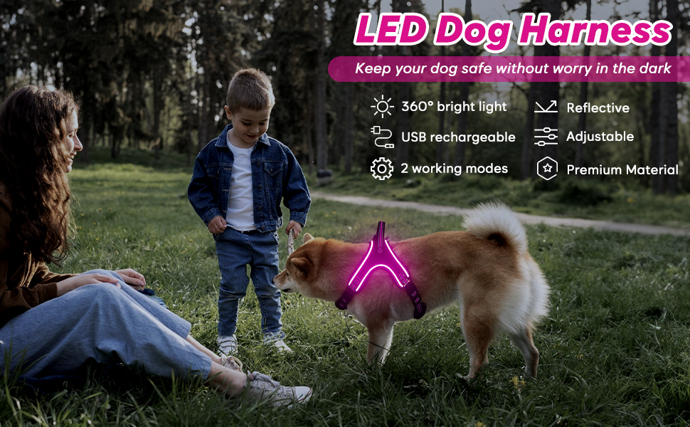Світлодіодне шлейка для собак з підсвічуванням, заряджається, з ручкою, світловідбиваюча, для безпеки вночі, середніх, маленьких та великих собак (Рожева, XL)