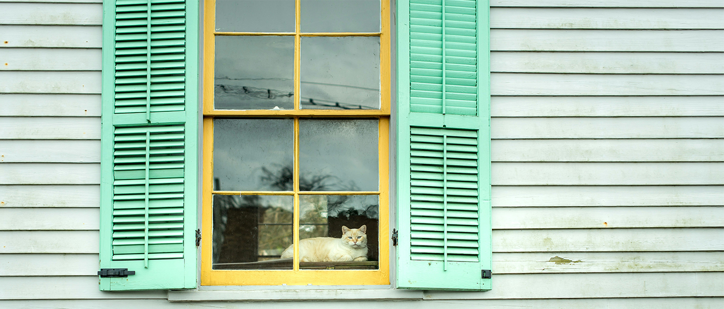 Кішка лежанка на вікно Peyela, м'яка та зручна, до 18 кг